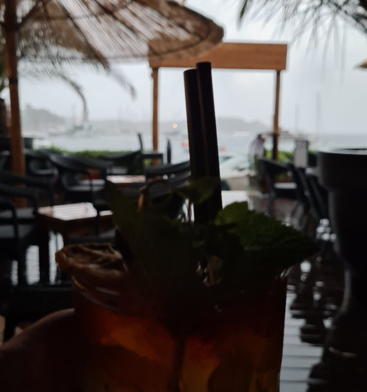 Havana Rum & Cocktail Bar-罗维尼必去景点