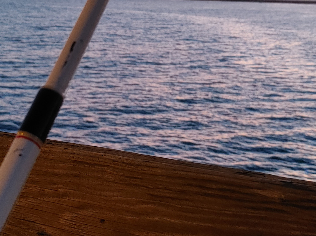 Ayres Hotel Seal Beach - Cypress主图