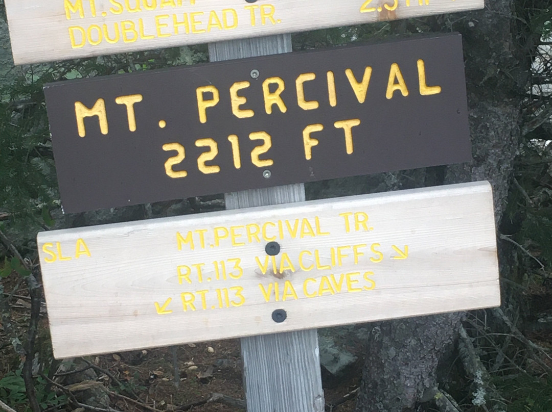 Mount Morgan and Mount Percival Loop景点图片