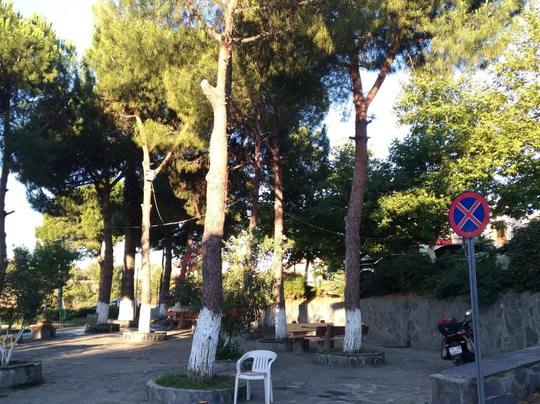 Altinoluk Merkez Parki景点图片