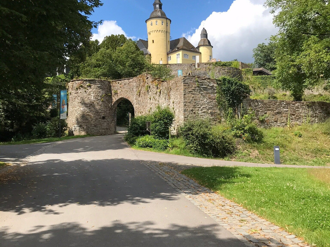 Schloss Homburg景点图片