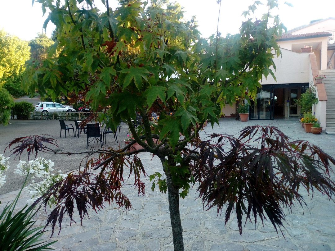 科尔德洋杰利温泉度假公园酒店主图