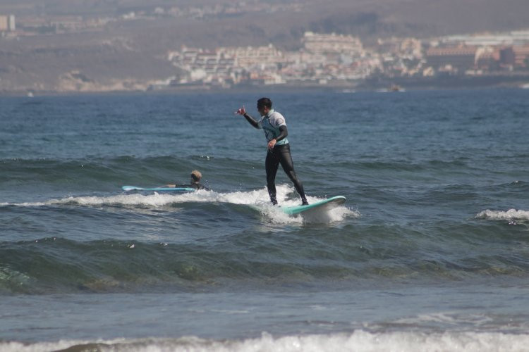 Ocean Life Tenerife-美洲海滩必去景点