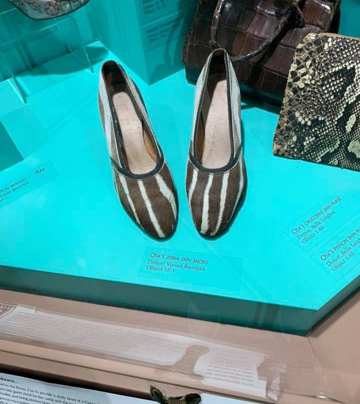 Martin and Osa Johnson Safari Museum-Chanute必去景点