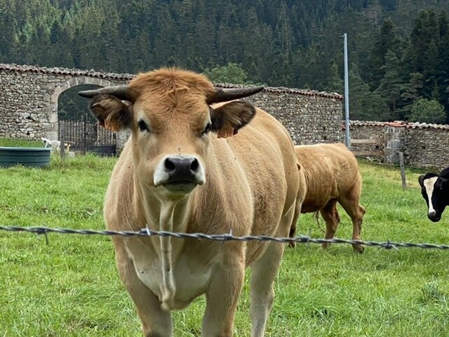 La Ferme du Garnasson主图