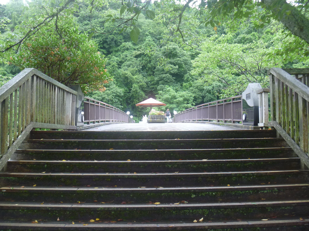 Kajika Bridge景点图片