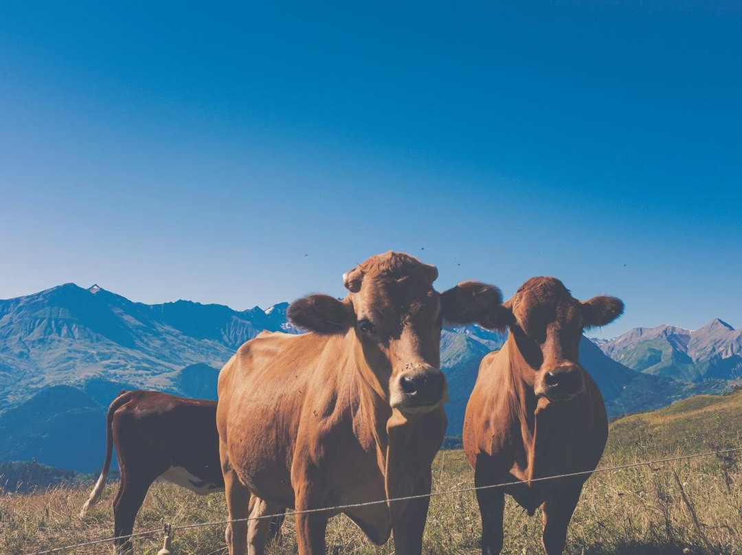 Chalet La Tuviere Bike Inn主图