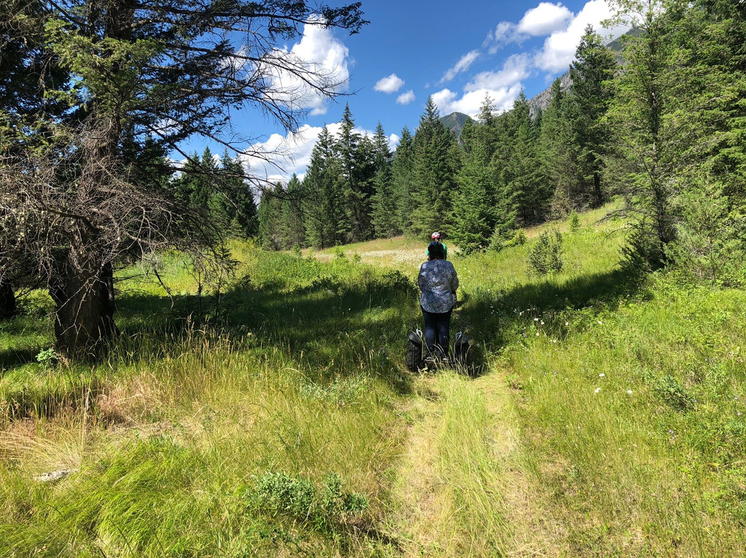 Scootin' Kootenay Tours景点图片