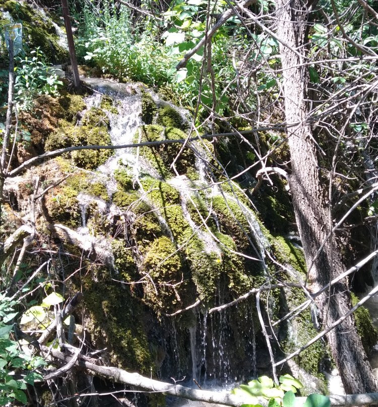 Ruta de los Nogales Centenarios-Nerpio必去景点