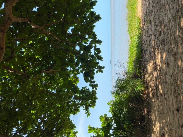 Sentier des Salines-Remire-Montjoly必去景点