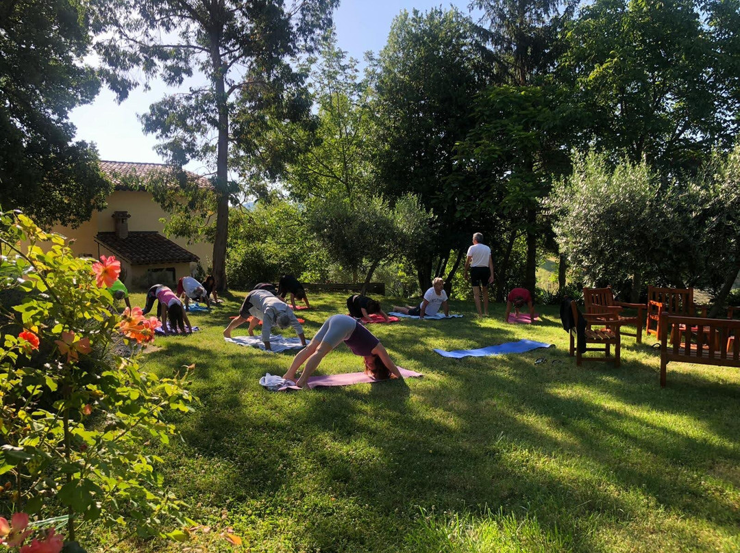 Agriturismo La Corte del Lupo主图