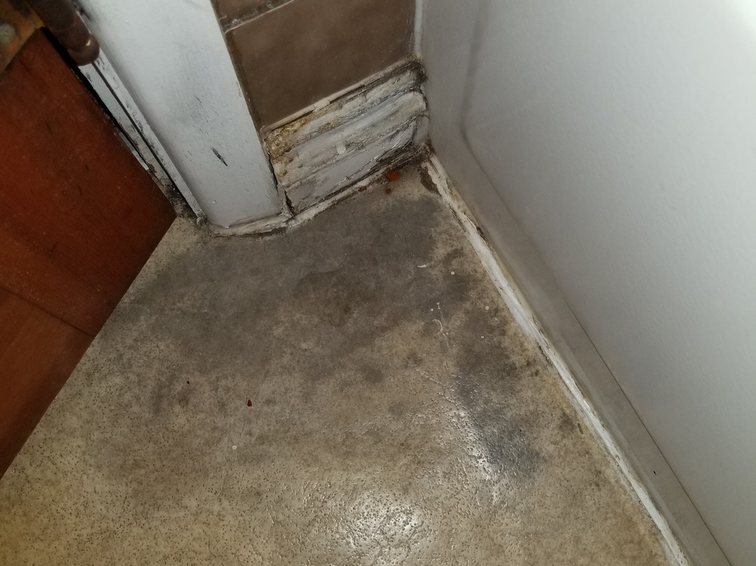 Sundowner Motel LLC主图