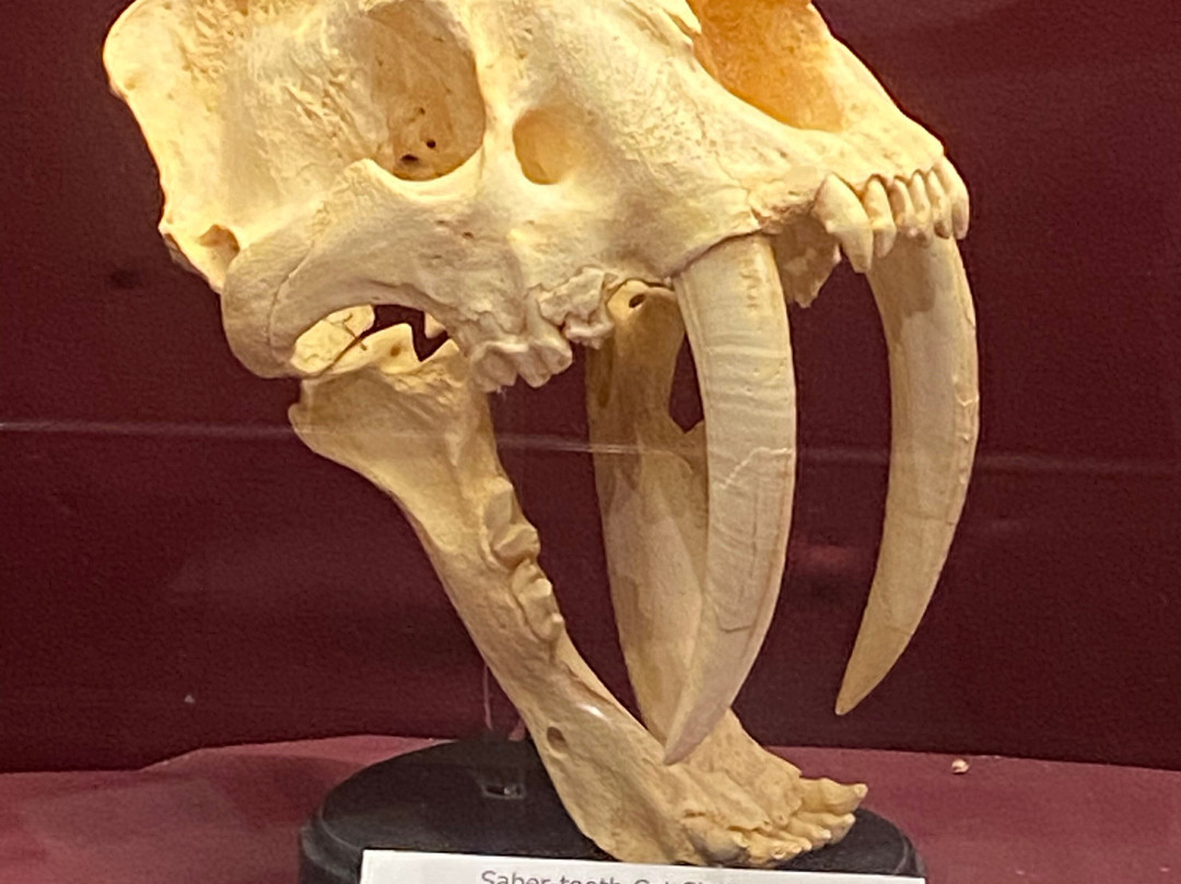 Brazosport Museum of Natural Science-Clute必去景点