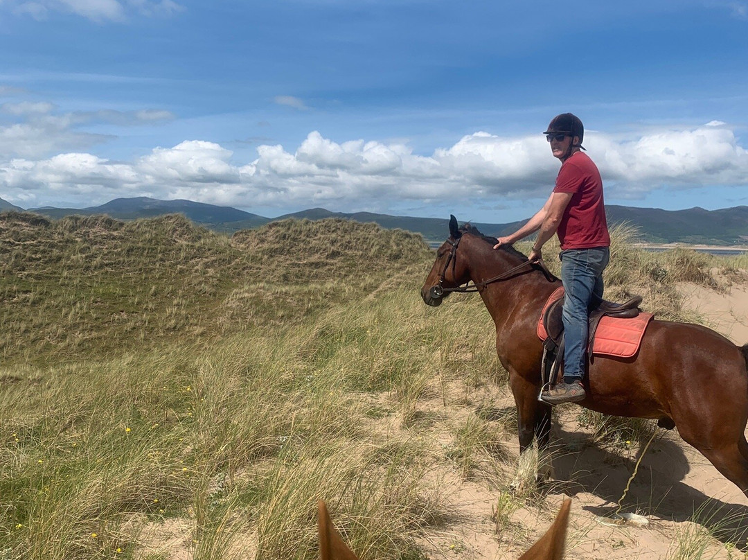 Rossbeigh Beach Horse Riding Centre景点图片