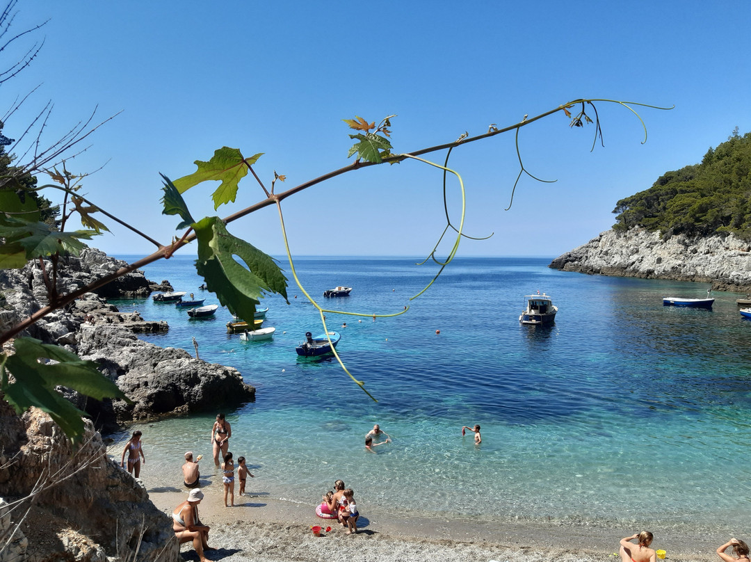 Sutmiholjska Beach景点图片
