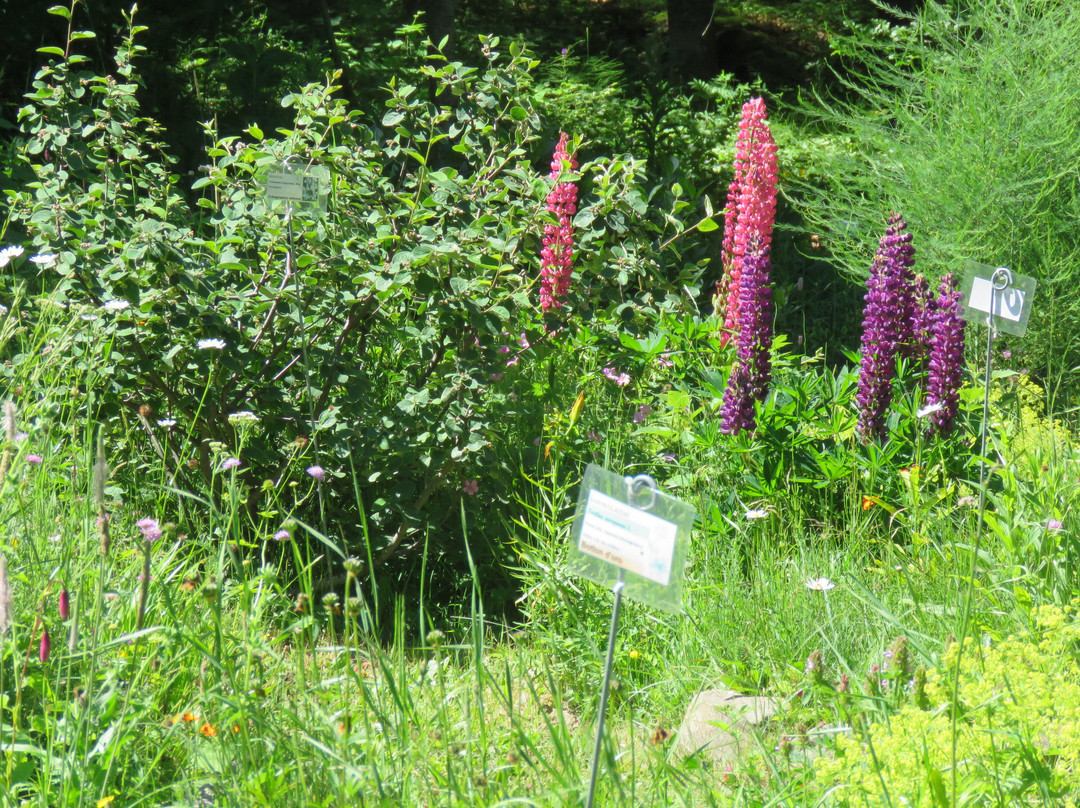 Giardino Botanico Alpino Esperia景点图片