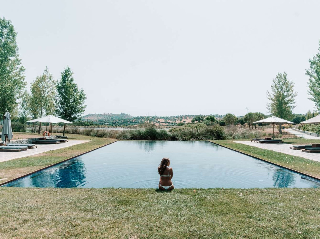 L'AND Vineyards主图