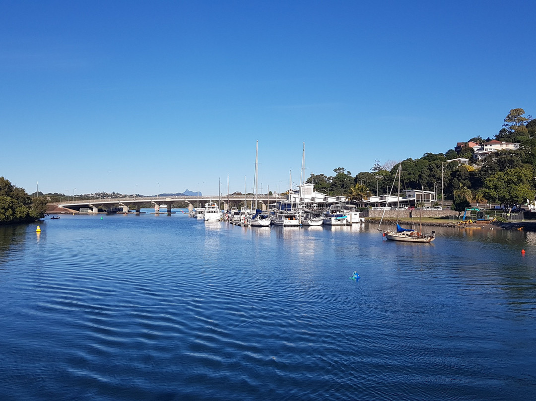 Coolangatta Whale Watch-堤维德岬必去景点