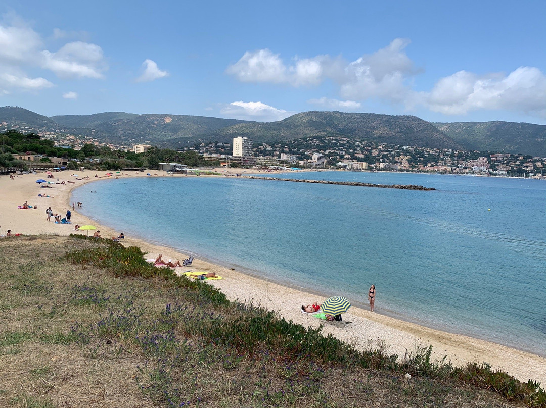 Office de Tourisme du Lavandou-莱拉旺杜必去景点