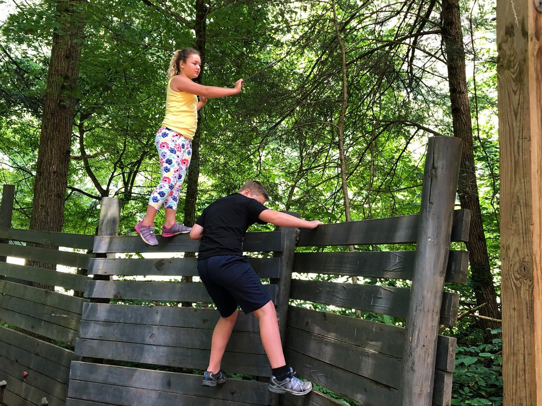 Foxfire Mountain Swinging Bridge-塞维尔维尔必去景点