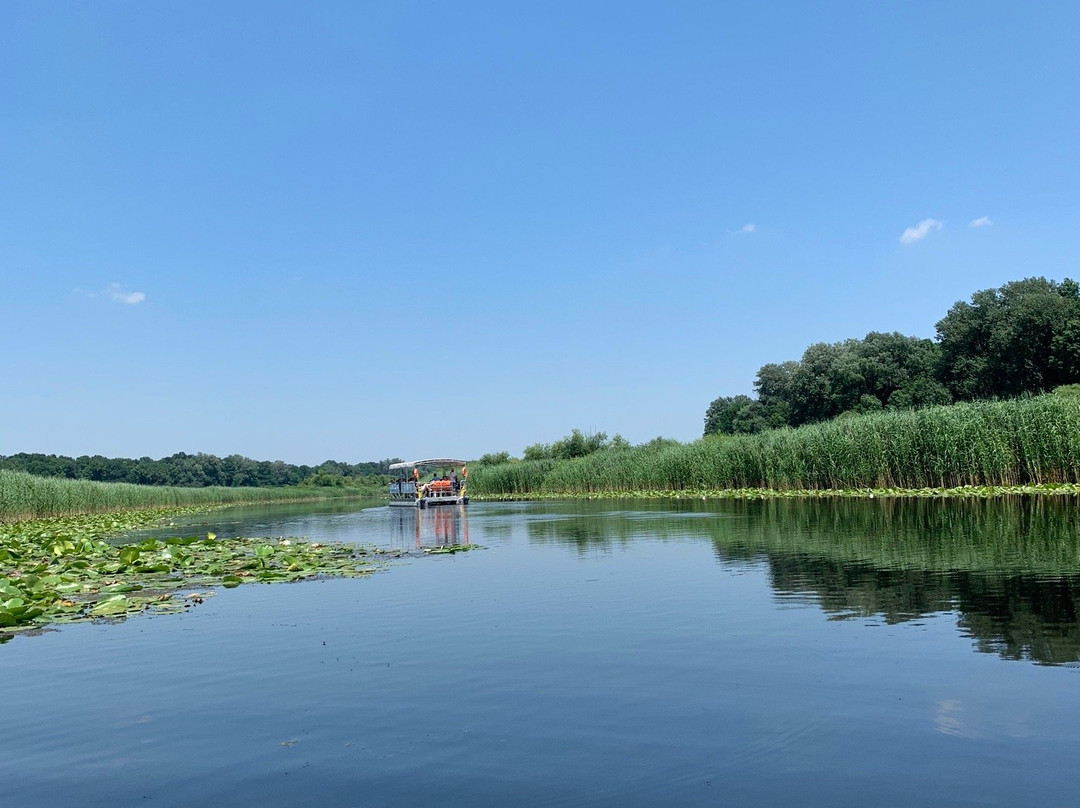 Special Nature Reserve Obedska Bara景点图片