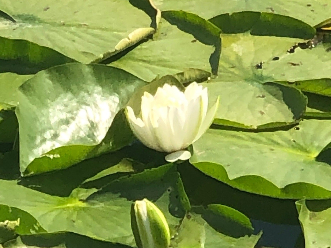 Calamus Reservoir State Recreation Area-Burwell必去景点