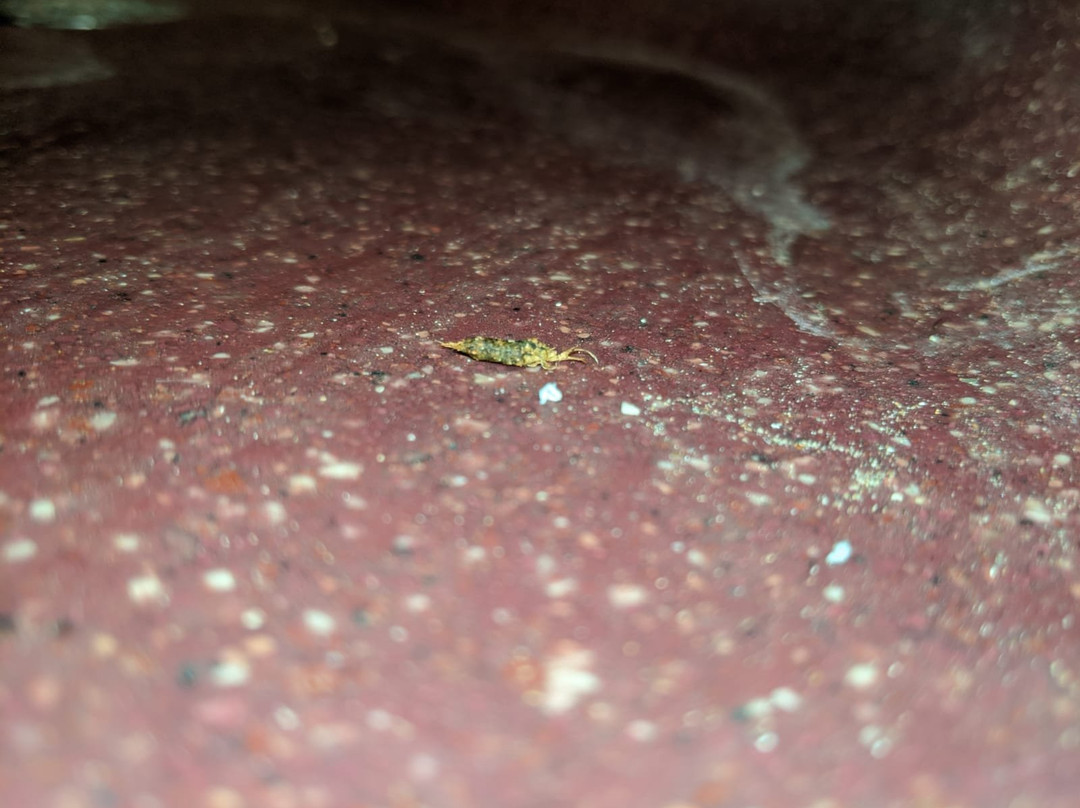 Sol y Luna Lodge主图