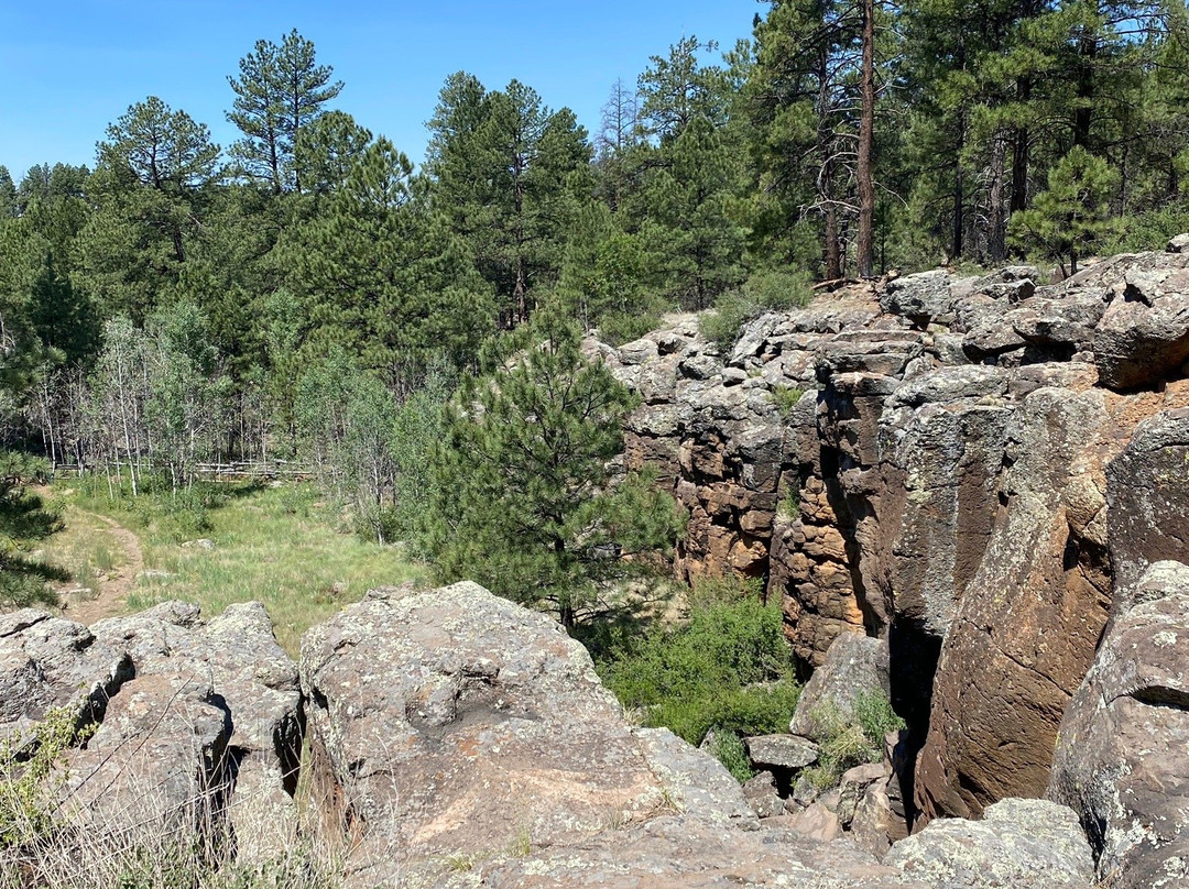 Kaibab Petroglyphs-威廉姆斯必去景点