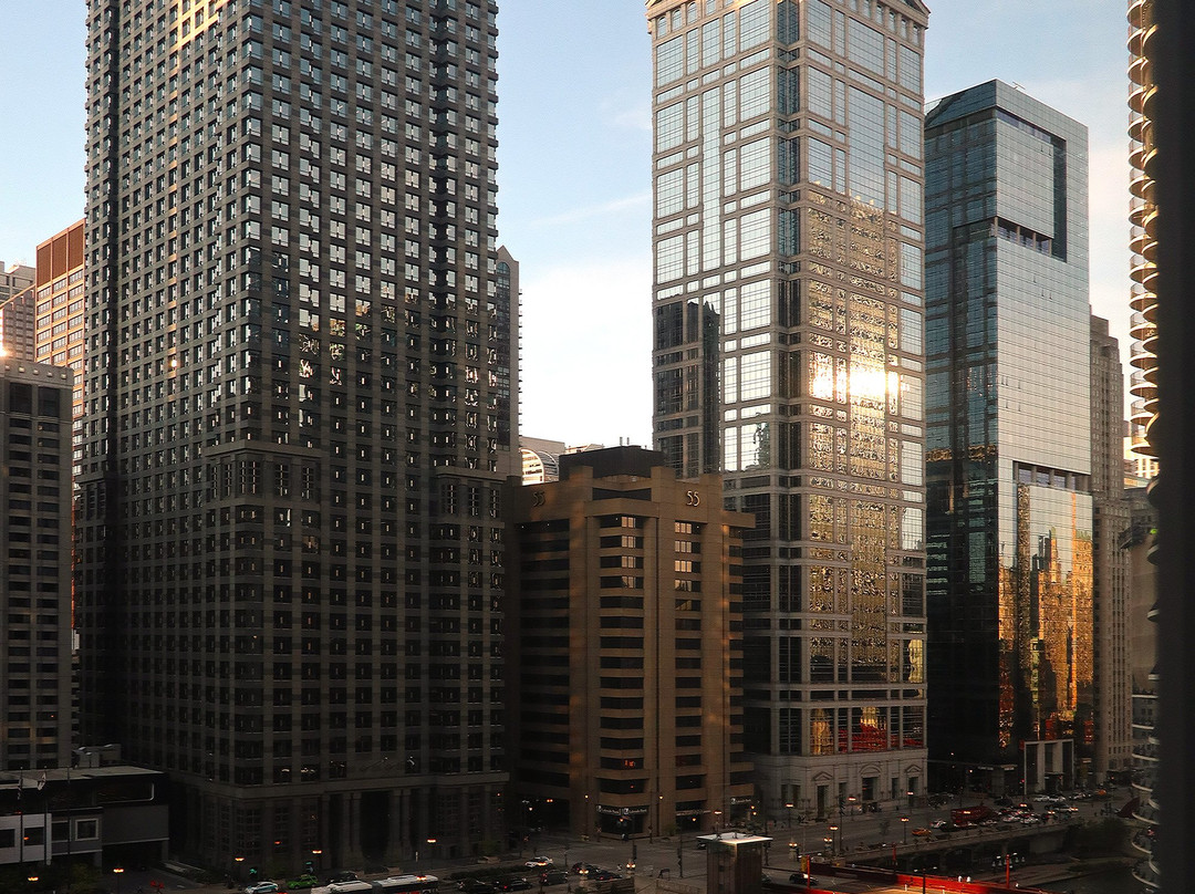 Chicago Skyline景点图片