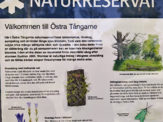 Ostra Tangarne Naturreservat