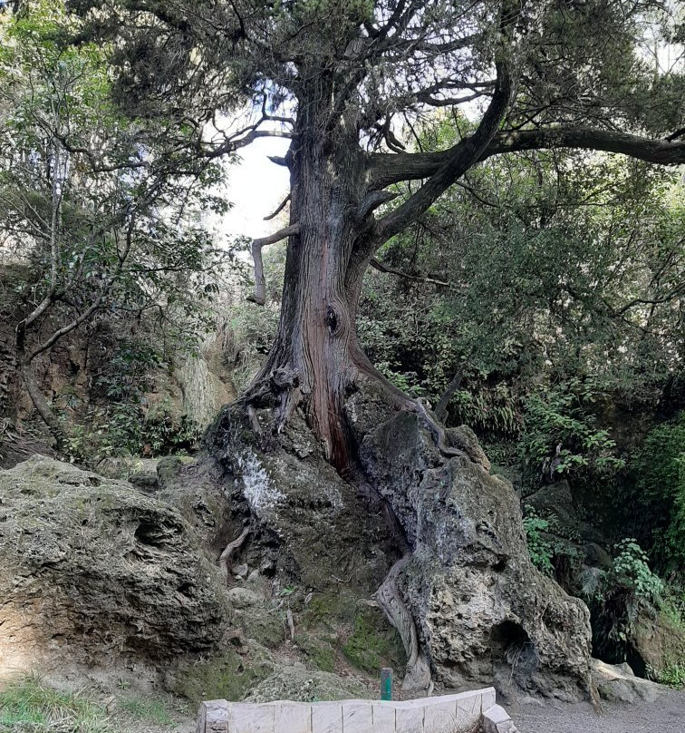 Maraetotara Falls景点图片