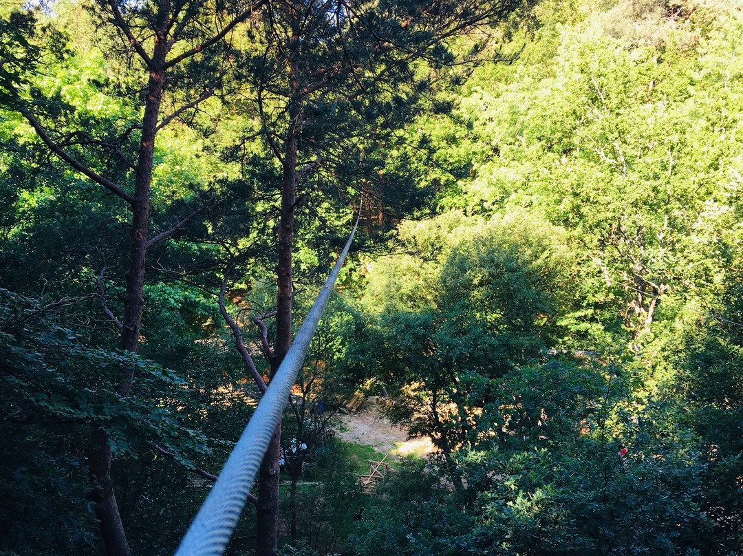Ludana Parc Aventure景点图片