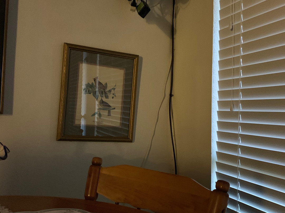 River Inn Resort The主图