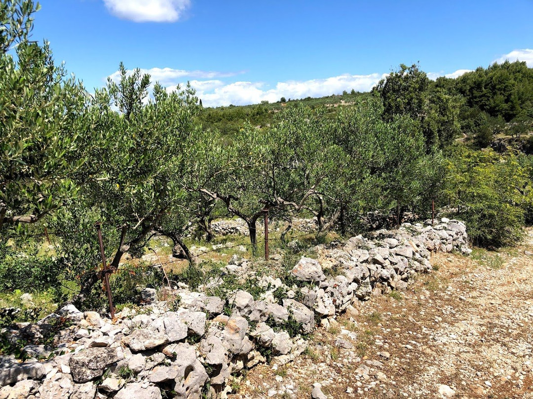 Lozisca - Central Dalmatia Croatia - Theme Trails-Lozisce必去景点