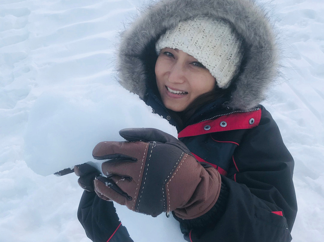 High Country Motel主图