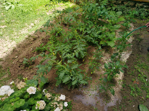 尼西亚酒店主图