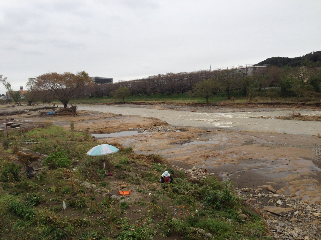 Irumagawa Promenade-入间市必去景点