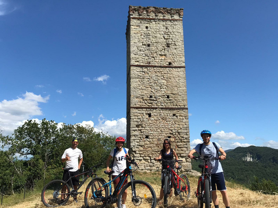 E-bike Awareness景点图片