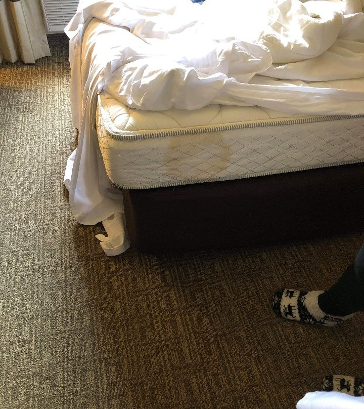 汉堡凯富套房酒店主图