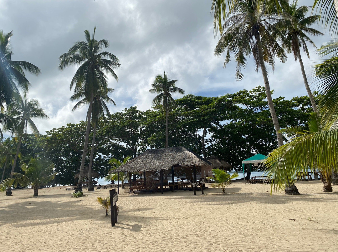 Cowrie Island景点图片