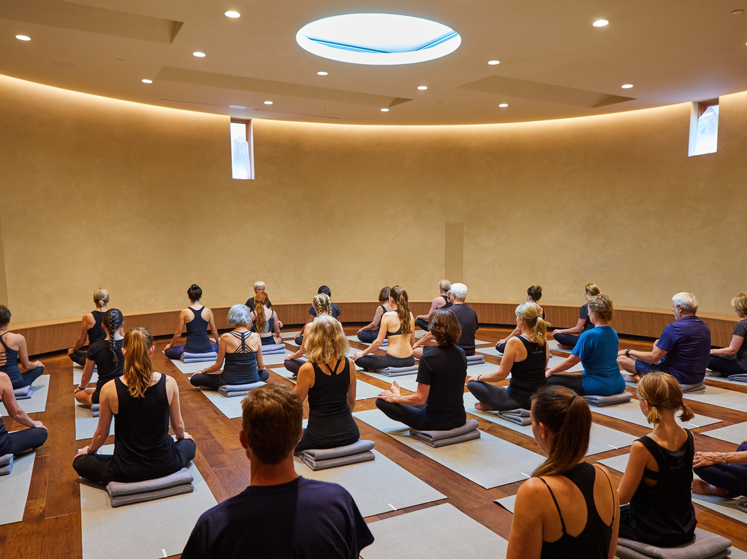 True Nature Healing Arts-卡本代尔必去景点