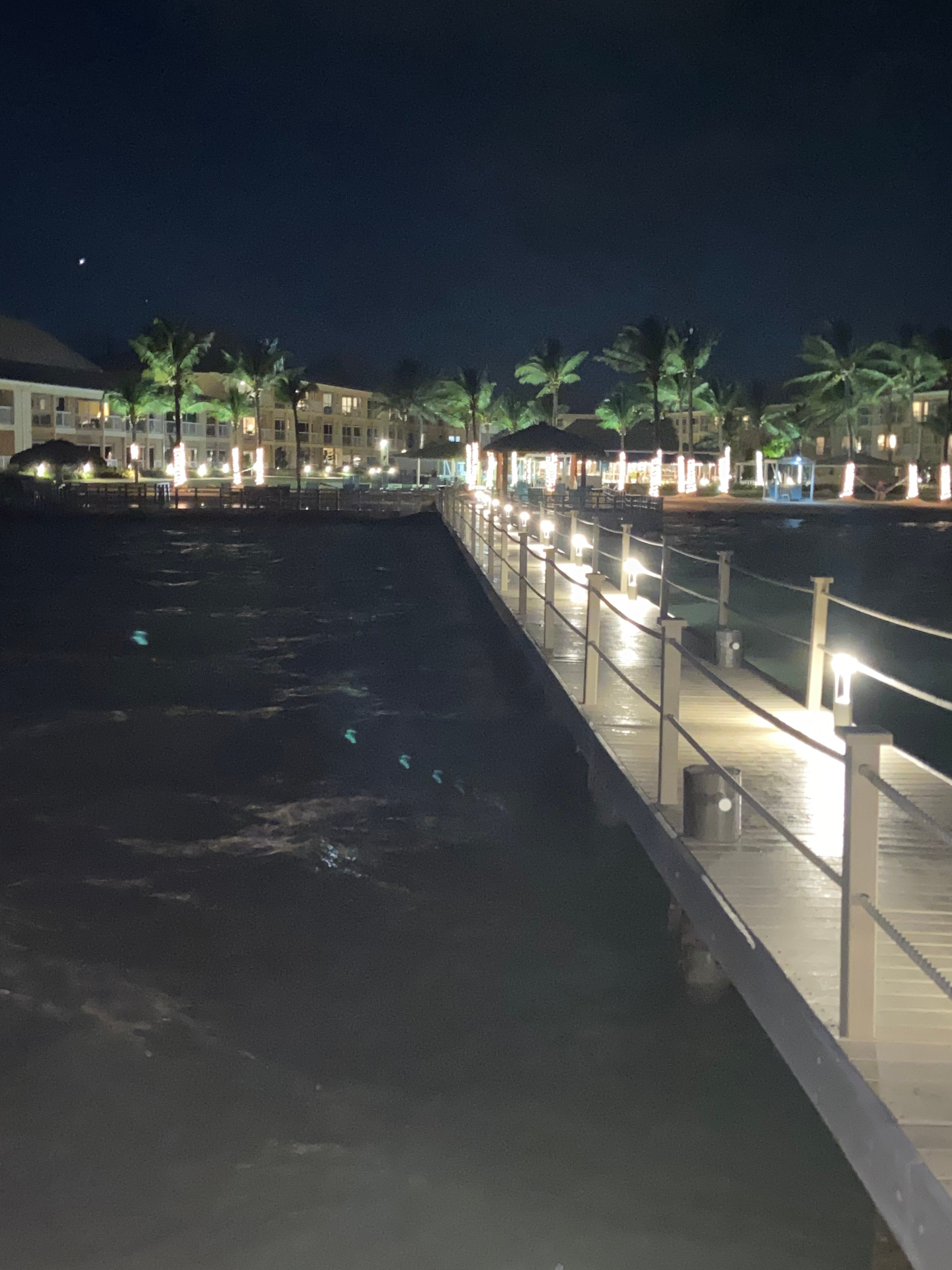 The Grand Caymanian Resort-portrait