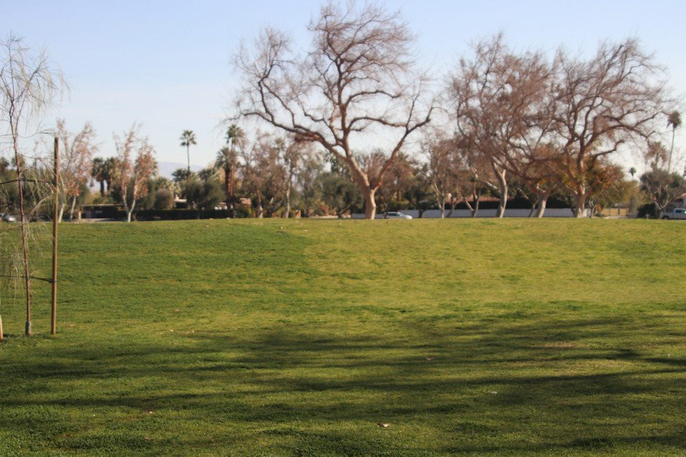 Ruth Hardy Park-棕榈泉市必去景点