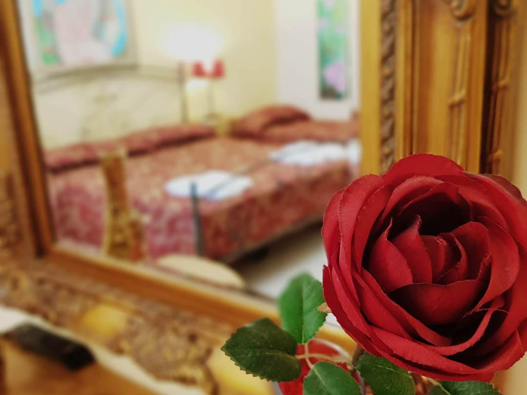 B&B Perla di Corso Savoia主图