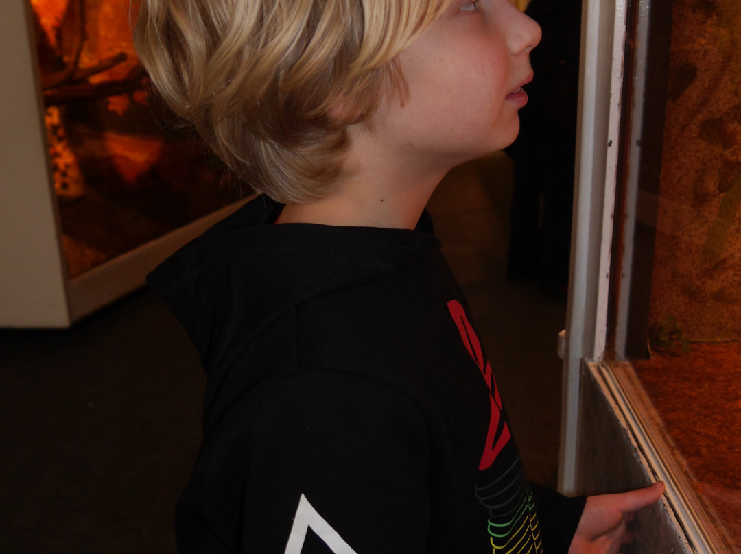 Iguana Reptile Zoo-Zeeland Province必去景点