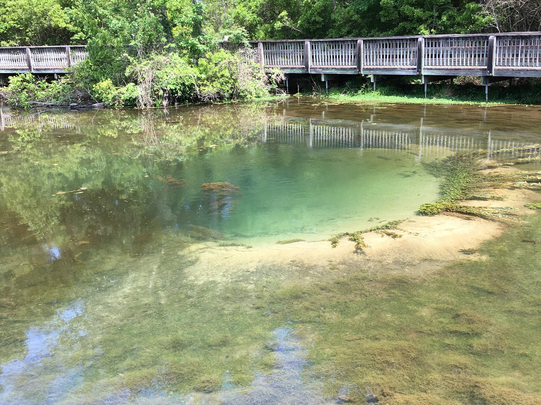 Magnolia Springs Park-Millen必去景点