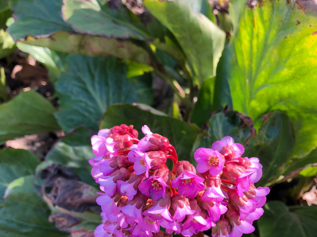 Whitewater Wines-Plainview必去景点