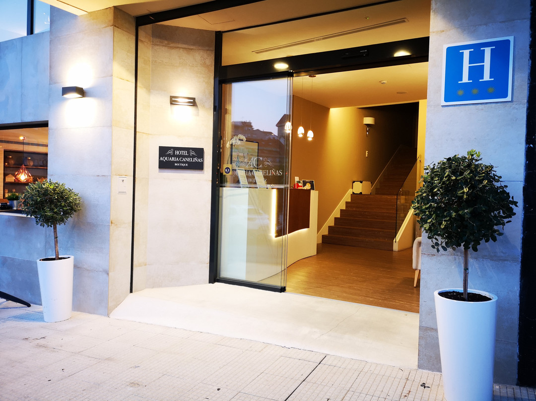 Hotel Boutique Aquaria Caneliñas主图