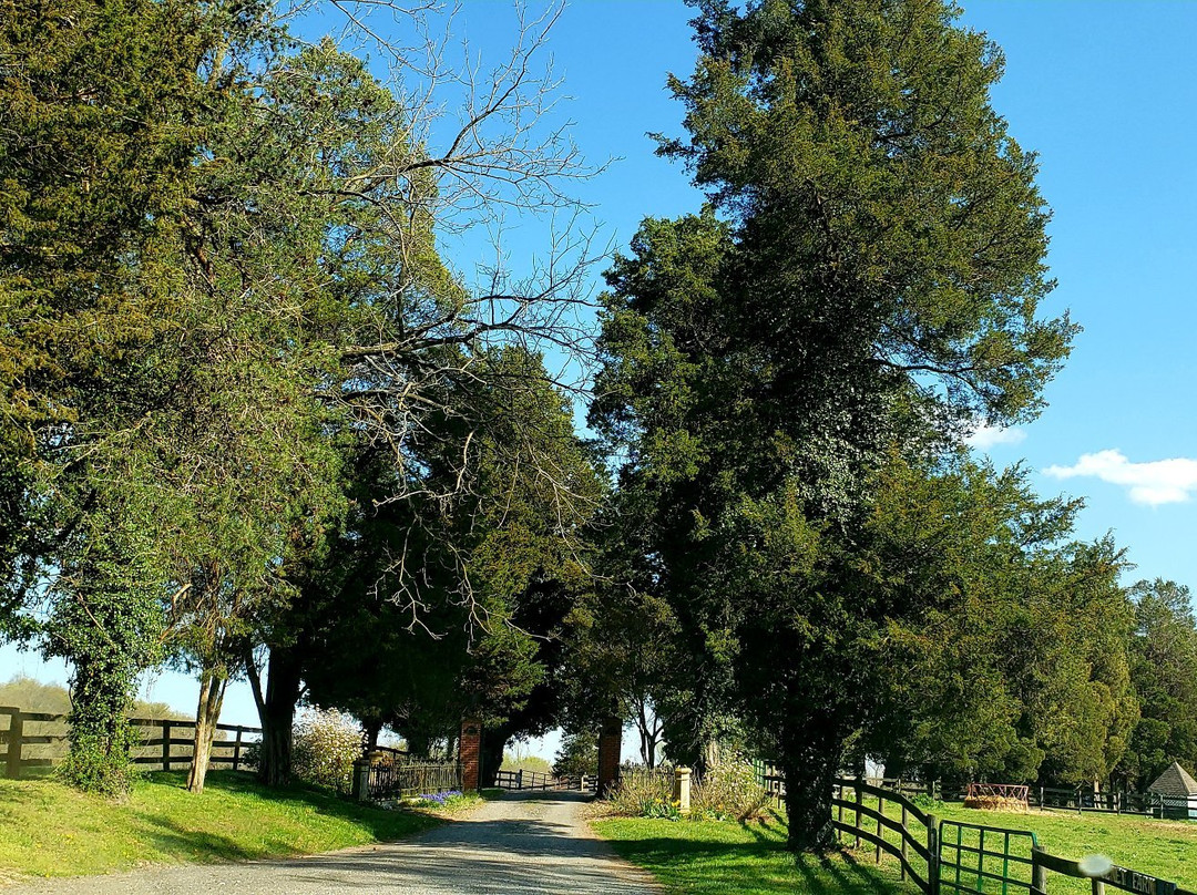 Olney Farm-Joppa必去景点