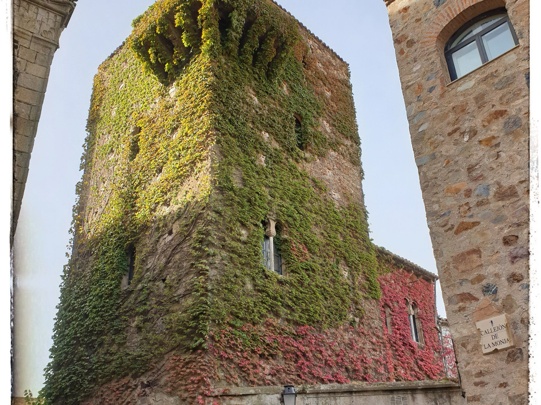 Tower de los Sande景点图片